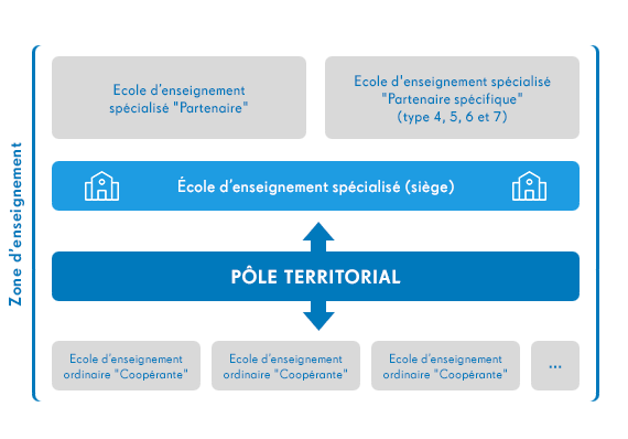 Schéma du fonctionnement des pôles territoriaux : écoles sièges, partenaires et coopérantes